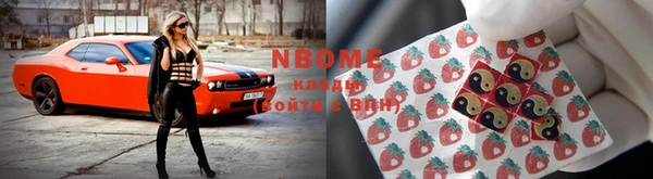 альфа пвп Новокубанск
